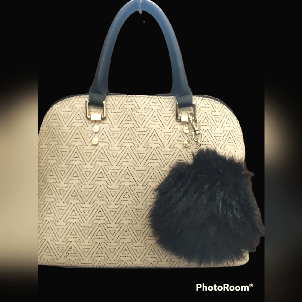 Aldo purse